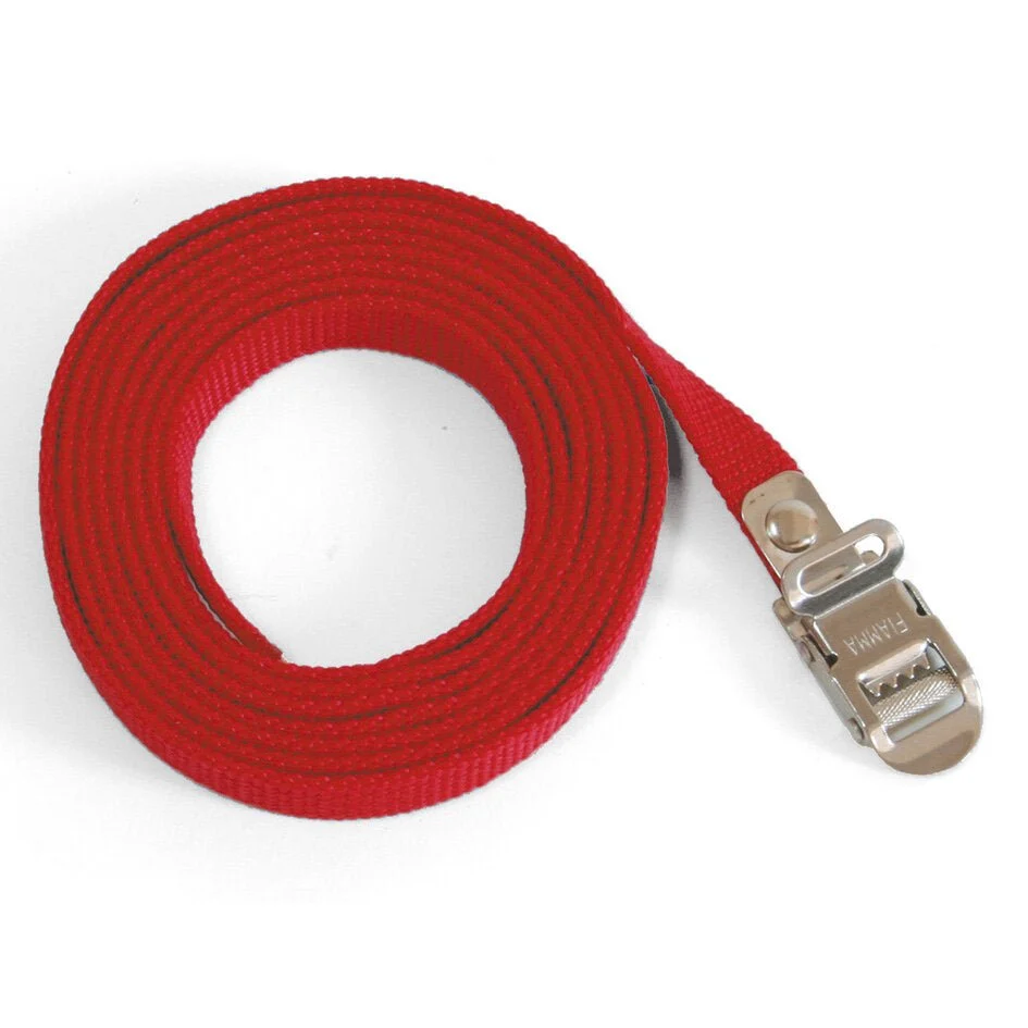 Curea de siguranță pentru suport de biciclete FIAMMA, 1 bucată, 200 cm