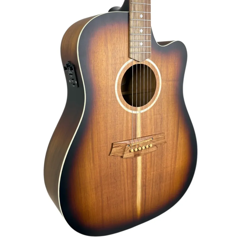 Cole Clark FL2EC-BLBL-SUN 2021 - Natural Sunburst