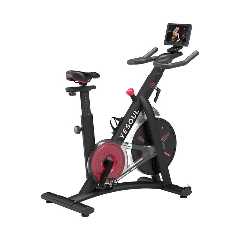Bicicleta fitness YESOUL S3 Pro Spinning Bike, Black
