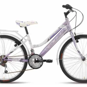 24" Bicicleta MTB VICINI