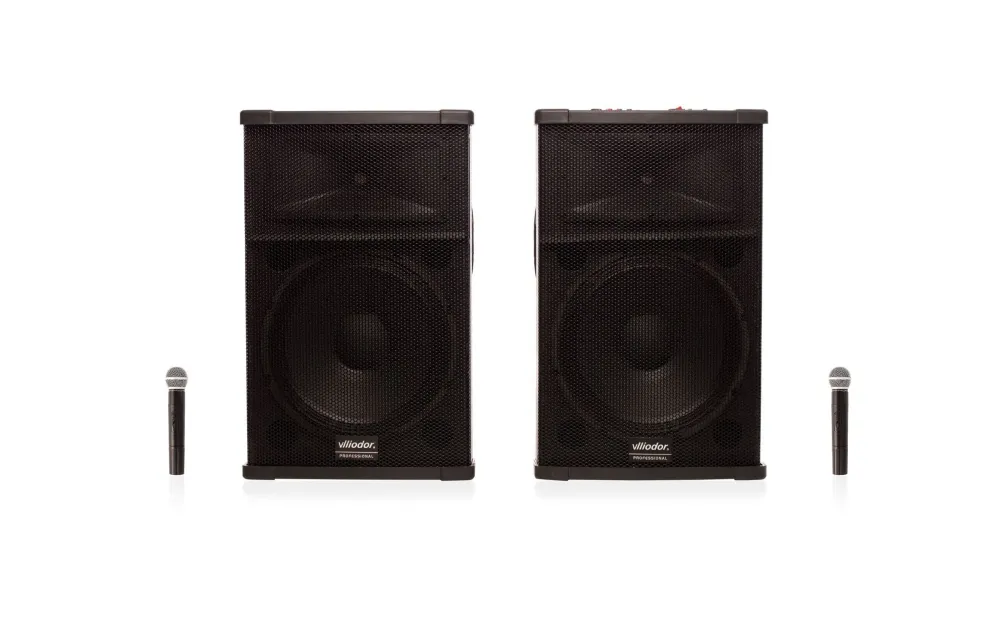 Set Boxe Profesionale VALLIODOR 2005, Putere Maximă 400W, 200W RMS, Microfoane Incluse