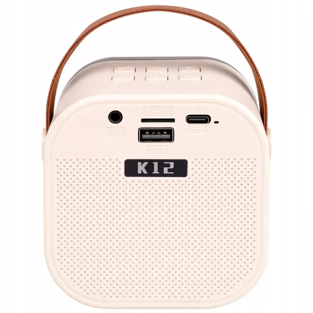 Set karaoke cu boxă și 2 microfoane, iluminare RGB, Bluetooth 5.3, baterie 500mAh