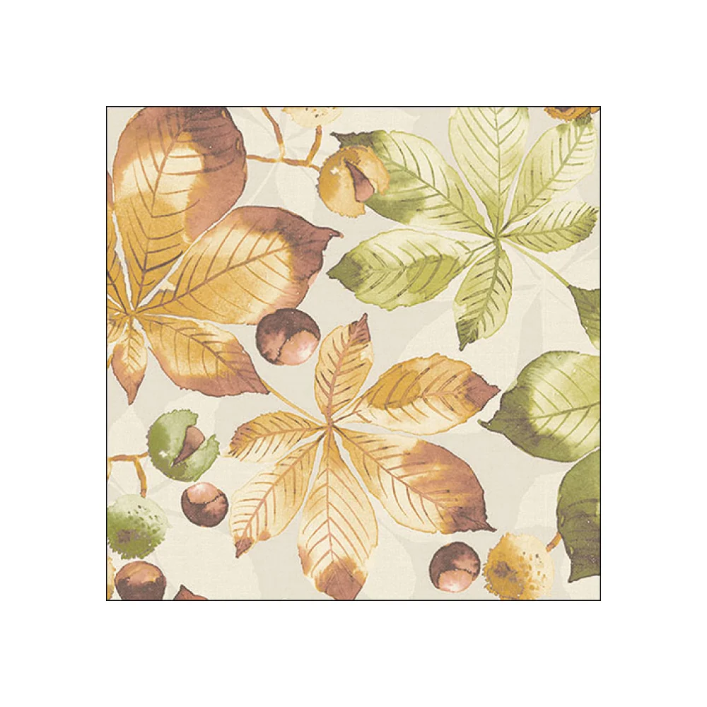 Servetele de masa, 20 buc, 33x33 cm, Castanea - AMBIENTE