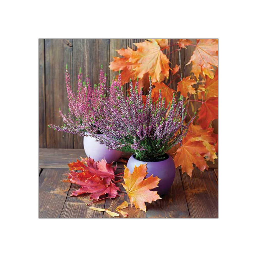 Servetele de masa, 20 buc, 33x33 cm, Erica pot - AMBIENTE