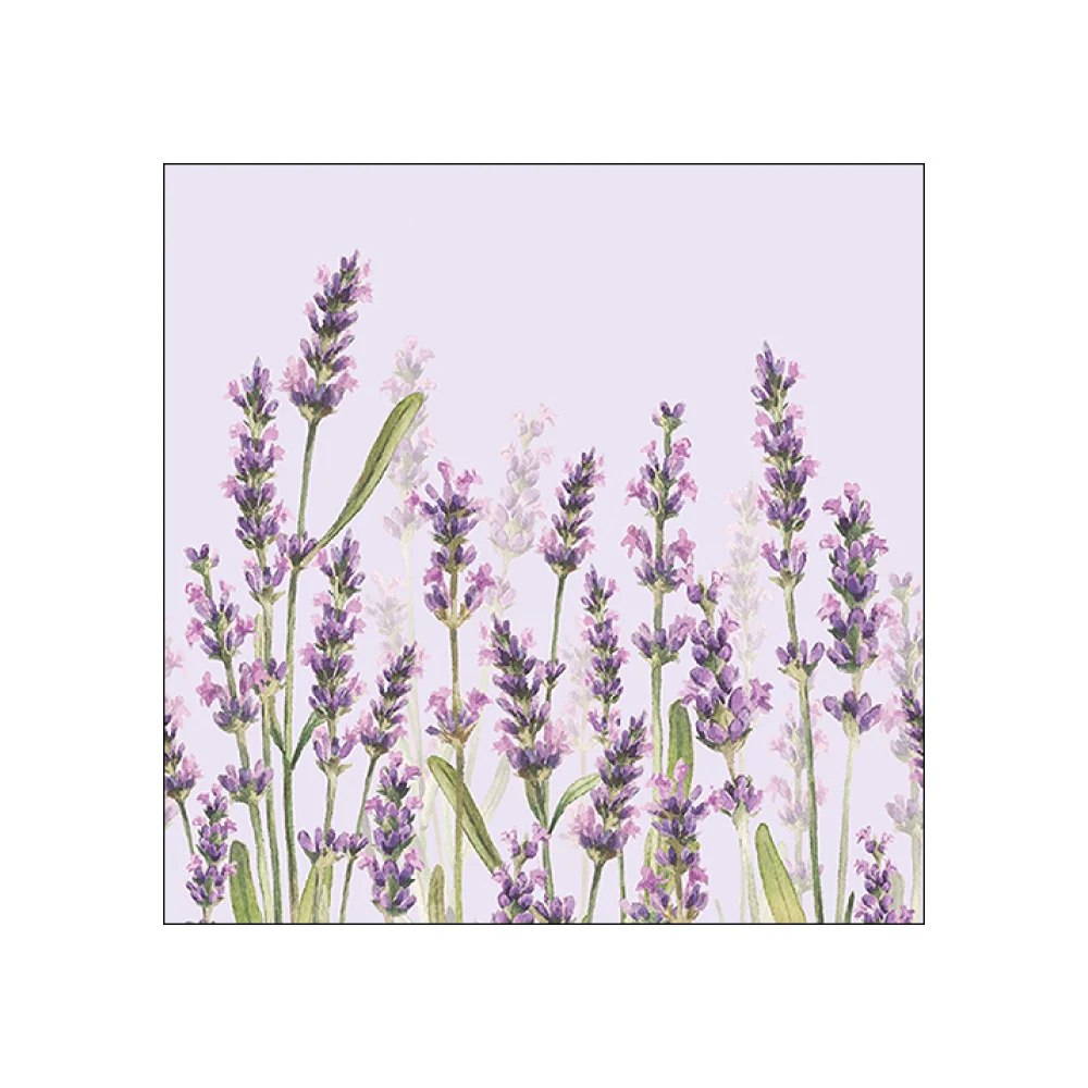 Servetele de masa, 20 buc, 33x33 cm, Lavender Shades Lila - AMBIENTE