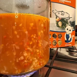 Oală Transparentă din Sticlă Borosilicată 5.5L cu Capac – Zâna Casei, Modernă, Rezistentă la Căldură