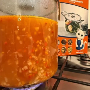 Oală Transparentă din Sticlă Borosilicată 5.5L cu Capac – Zâna Casei, Modernă, Rezistentă la Căldură
