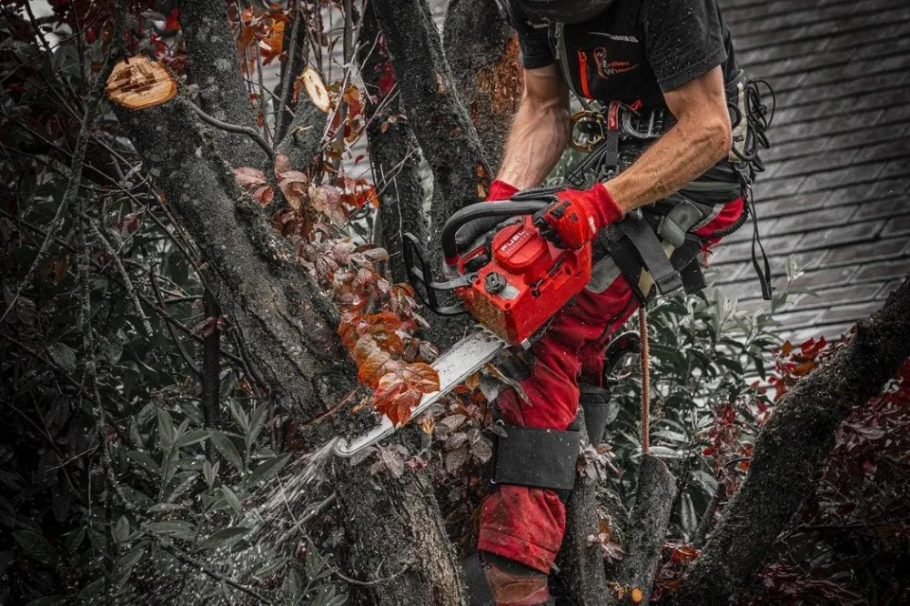 Fierăstrău cu lanț Milwaukee M18 FTHCHS35-0, 35 cm, sistem FUEL™, cod 4933479588