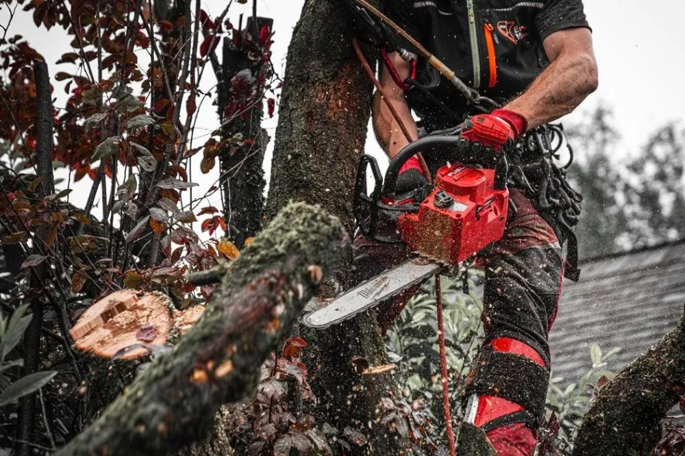 Fierăstrău cu lanț Milwaukee M18 FTHCHS35-802, 35 cm, 2 x M18 Forge FB8, 1 x încărcător rapid M12-18 FC, sistem FUEL™, cod...