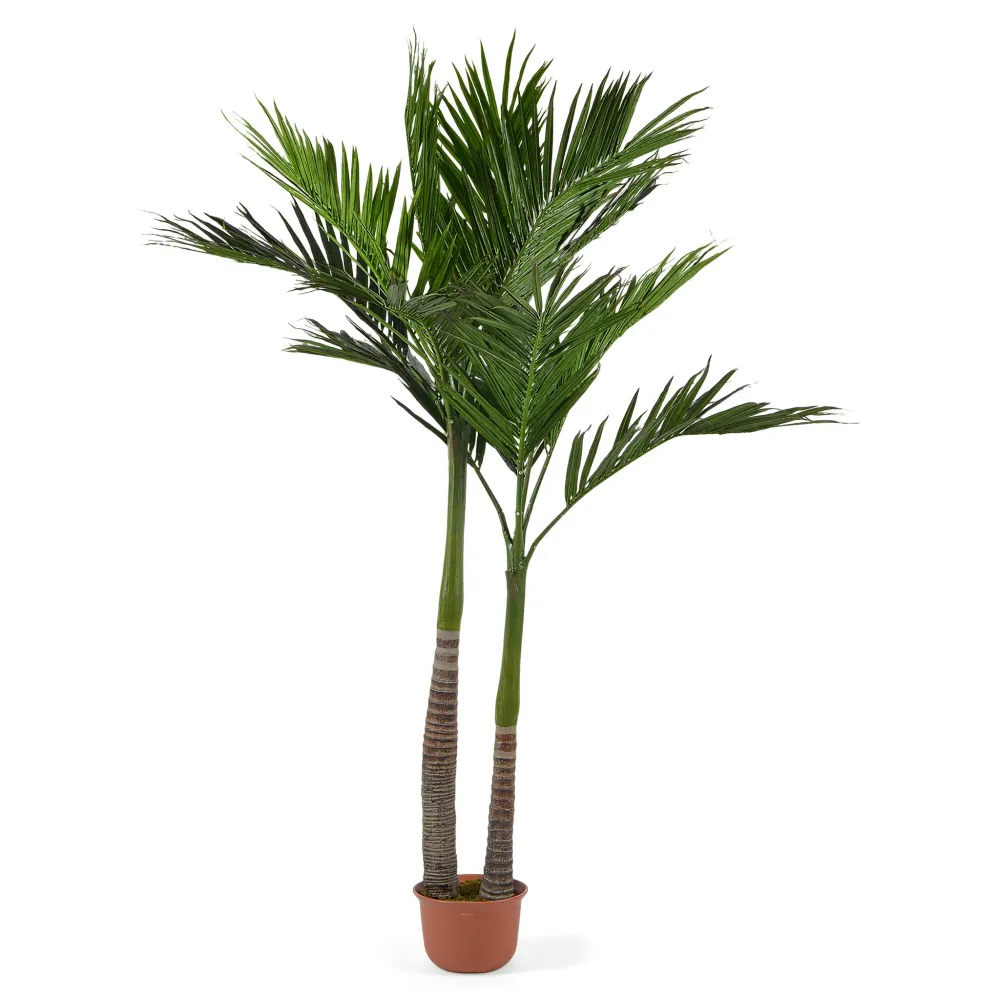 ALEXANDRA PALM Copac artificial în ghiveci, H.260cm