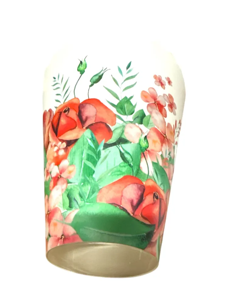 Cutie Din Carton Cu Fundul Din Plastic 10/Set