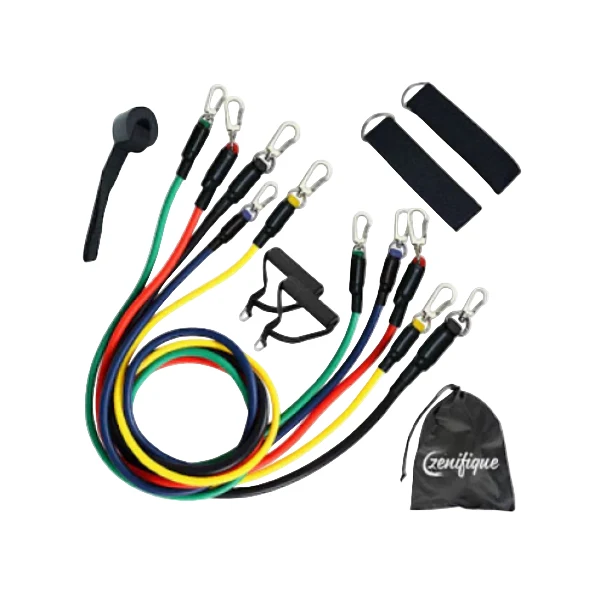 Sistem de antrenament fitness cu corzi extensibile, prinderi multiple, 11 piese