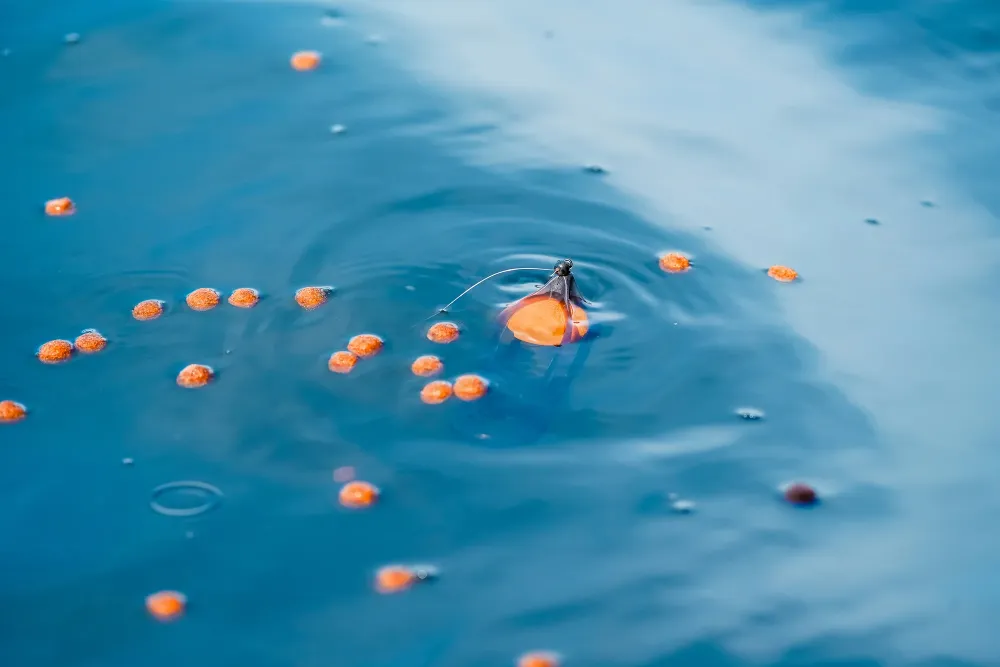 SURFACE FEEDER FLOAT