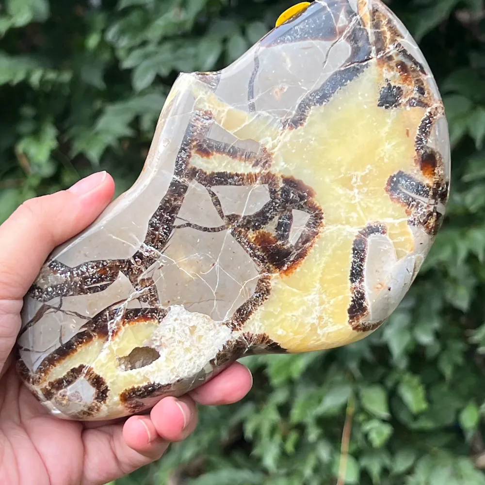 Felie septaria XL m2