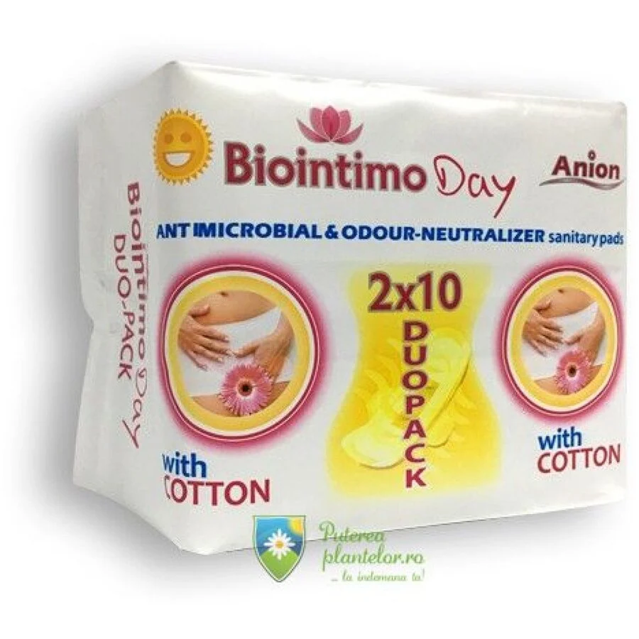 Absorbante de zi 2*10 buc