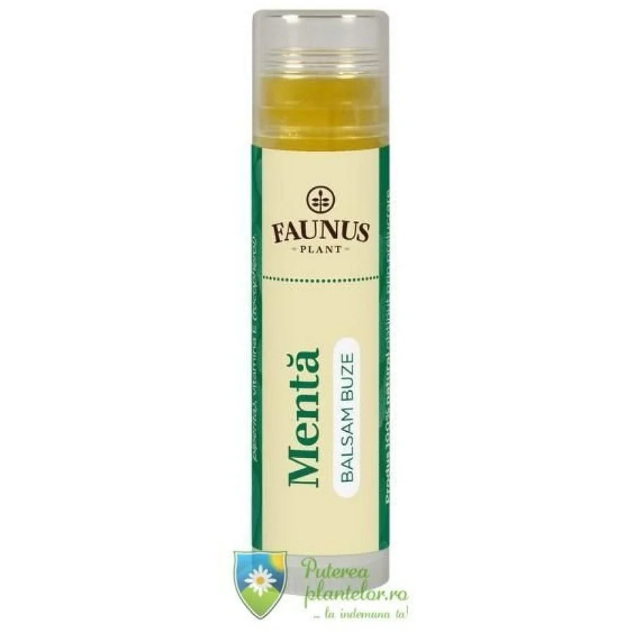 Balsam buze menta 5 ml