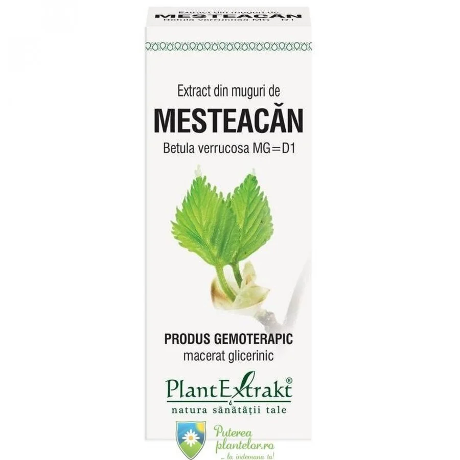 Extract din Muguri de Mesteacan 50 ml