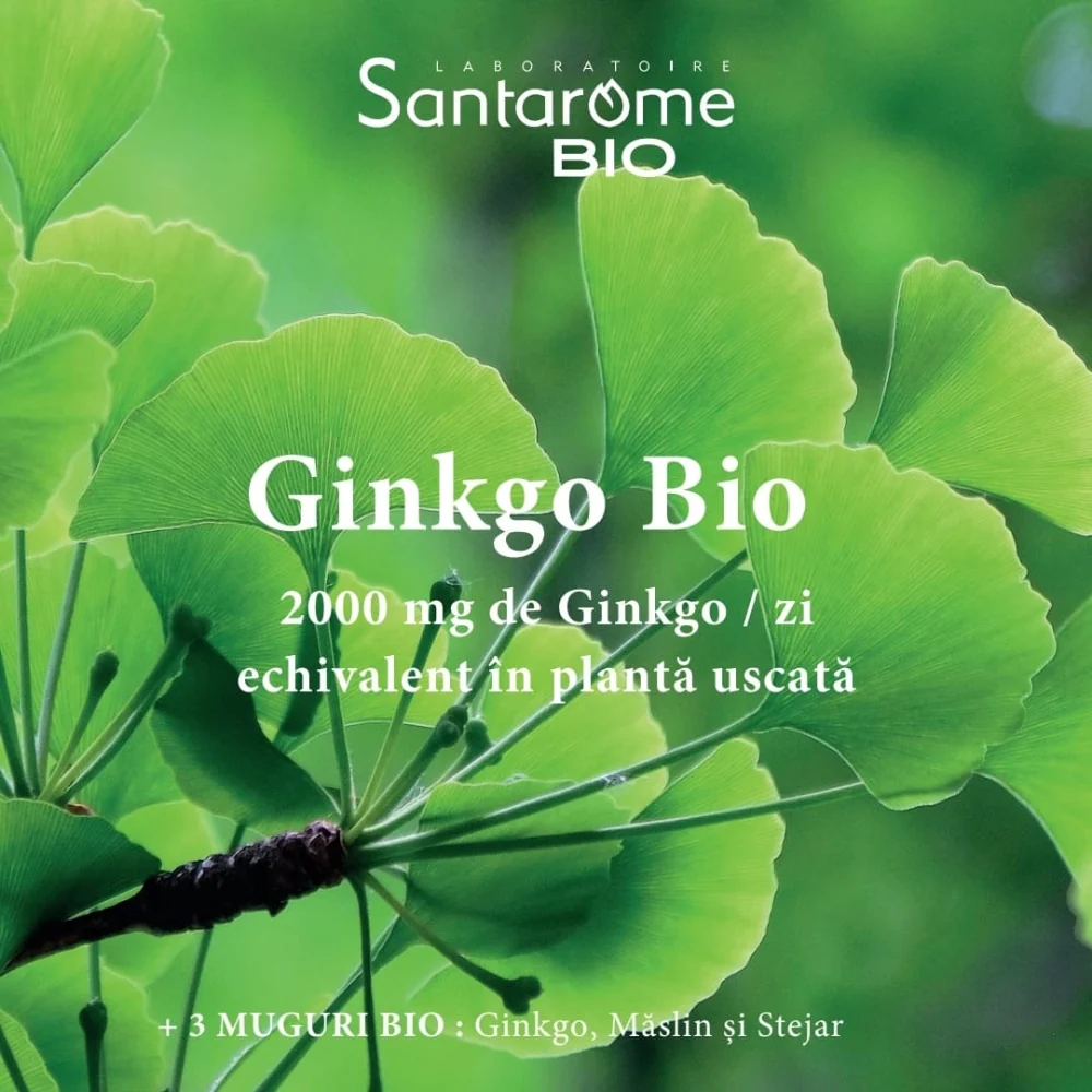 Ginkgo bio 2000, 20 fiole