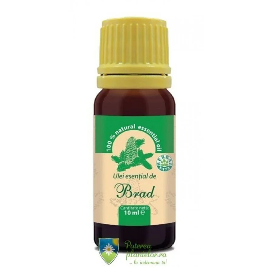 Ulei esential de Brad 10 ml