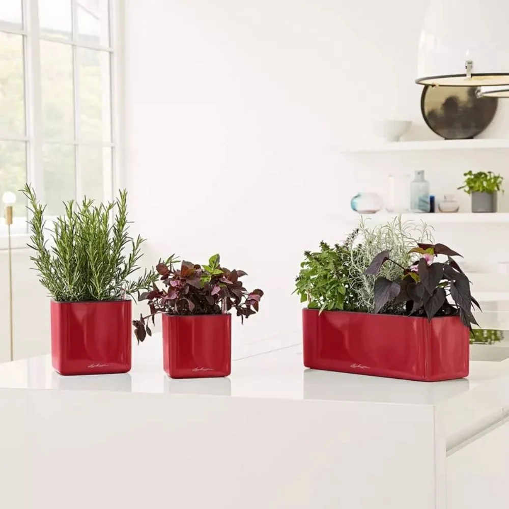 Ghiveci Auto-Irigant Lechuza Cube Glossy 14, rosu lucios, pentru plante cu ghiveci, sistem de autoirigare, insert detasabi...