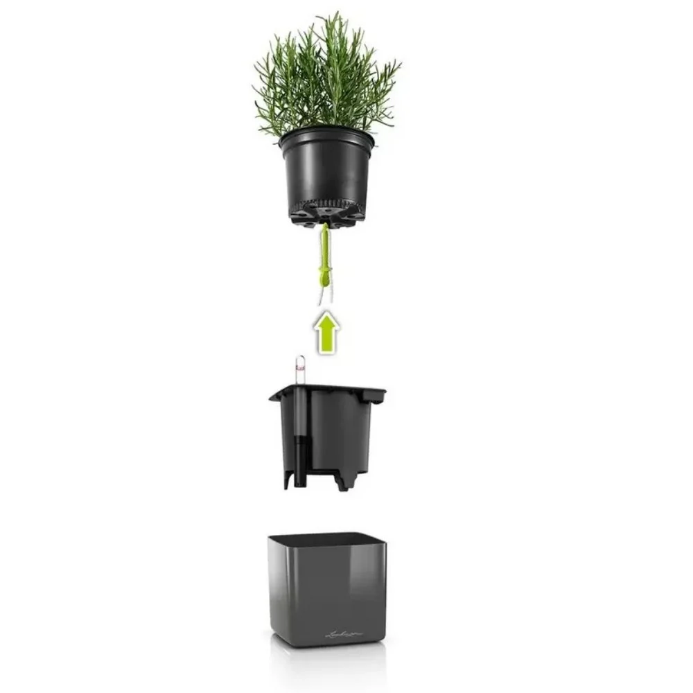 Ghiveci Auto-Irigant Lechuza Cube Glossy 16, rosu lucios, pentru plante cu ghiveci, sistem de autoirigare, insert detasabi...