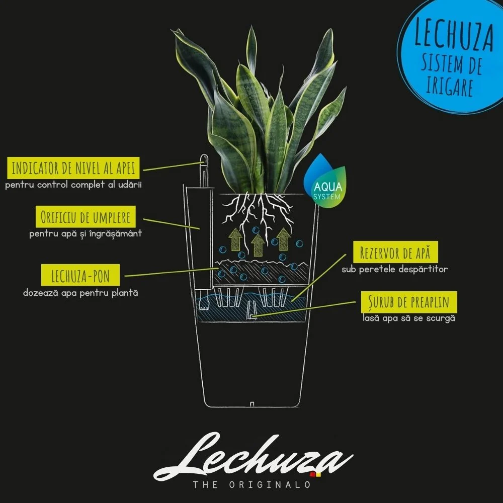 Ghiveci Auto-Irigant Lechuza Orchidea 1 l, Bej mat, pentru orhidee, sistem de autoirigare, insert detasabil, strat de drenaj