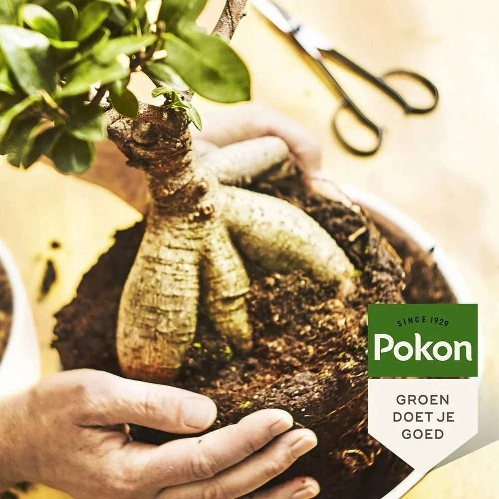 Fertilizator Lichid POKON pentru Bonsai 250 ml