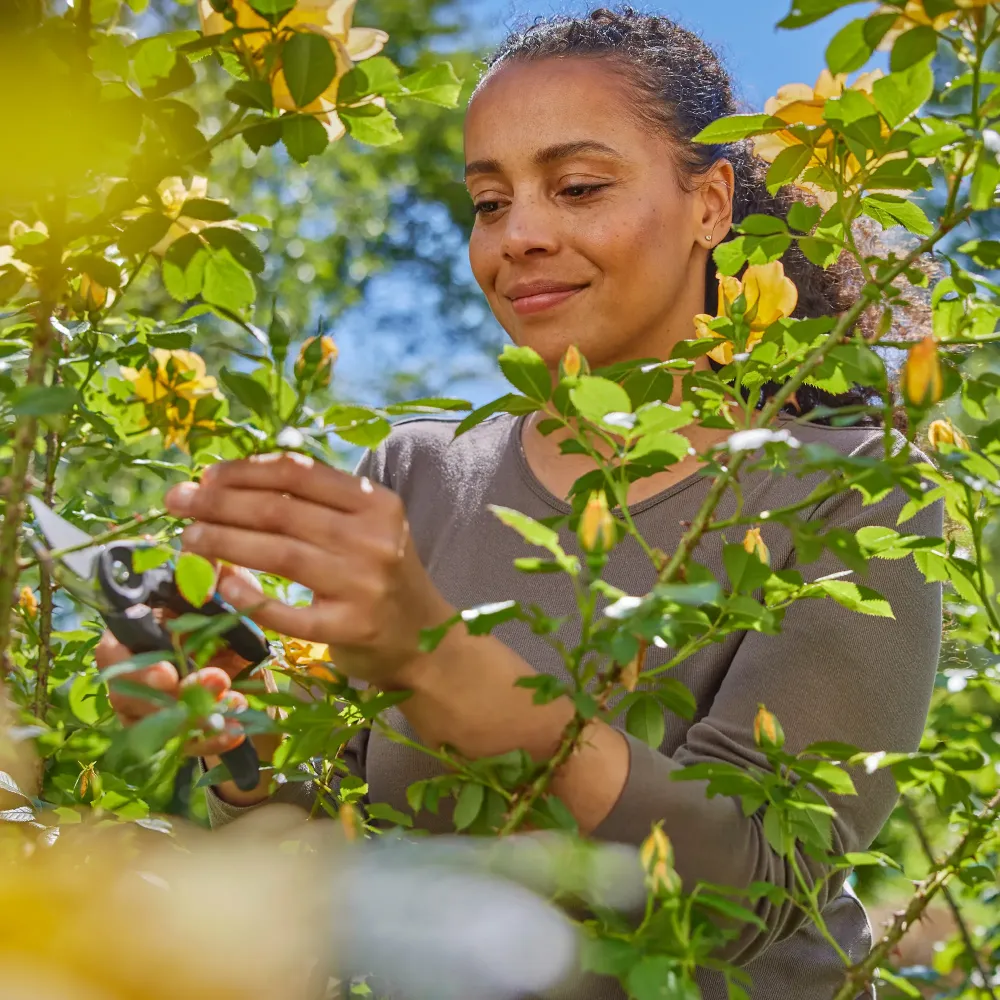 Foarfece de grădină Gardena Tăiere premium Flex