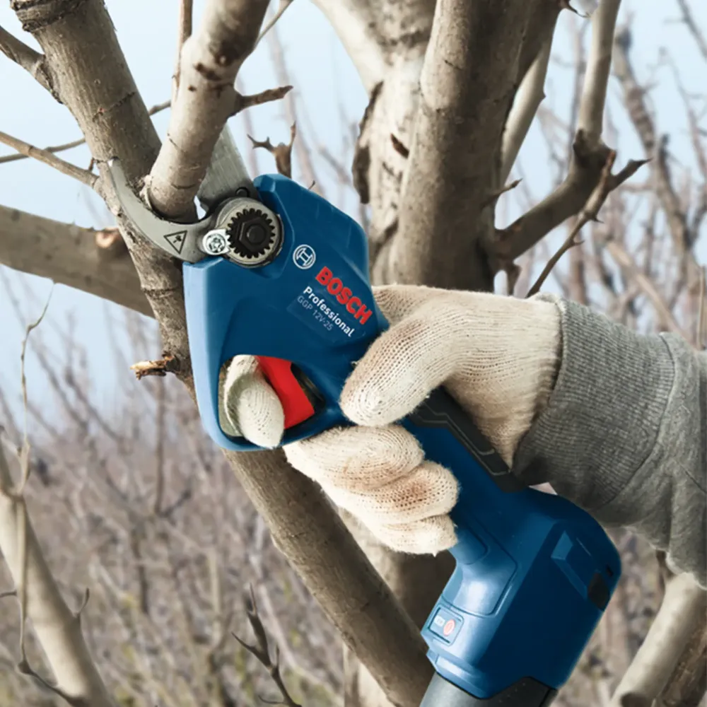Foarfece de grădinărit Bosch GGP 12V-25 3Ah