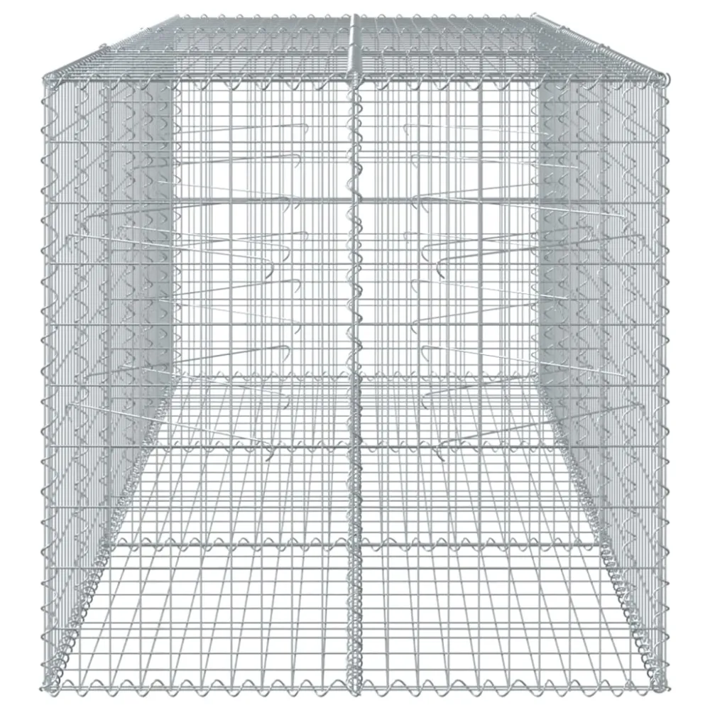 Coș gabion cu capac, 300x100x100 cm, fier galvanizat