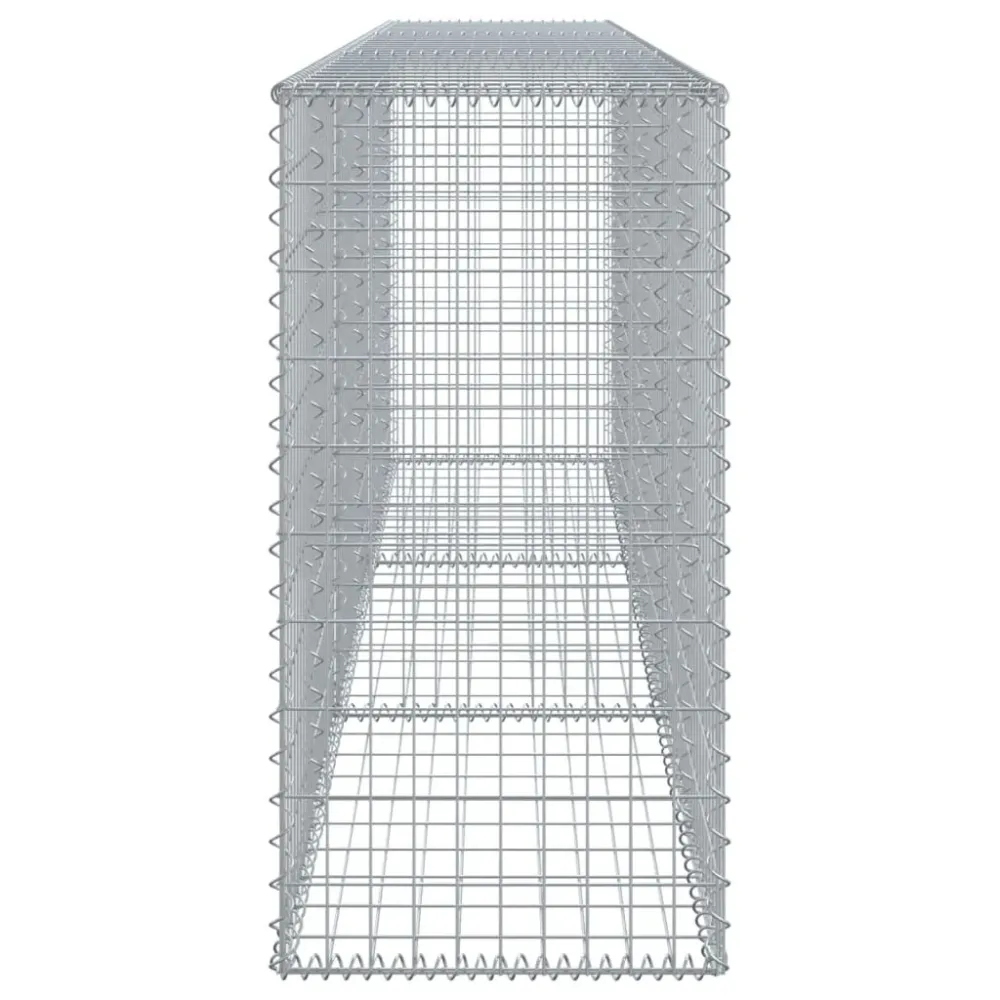 Coș gabion cu capac, 300x50x100 cm, fier galvanizat