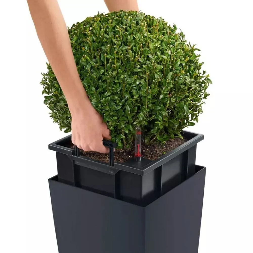 Ghiveci Auto-Irigant Lechuza Cubico Color 22, 6 l, negru mat, sistem de autoirigare, insert detasabil, strat de drenaj