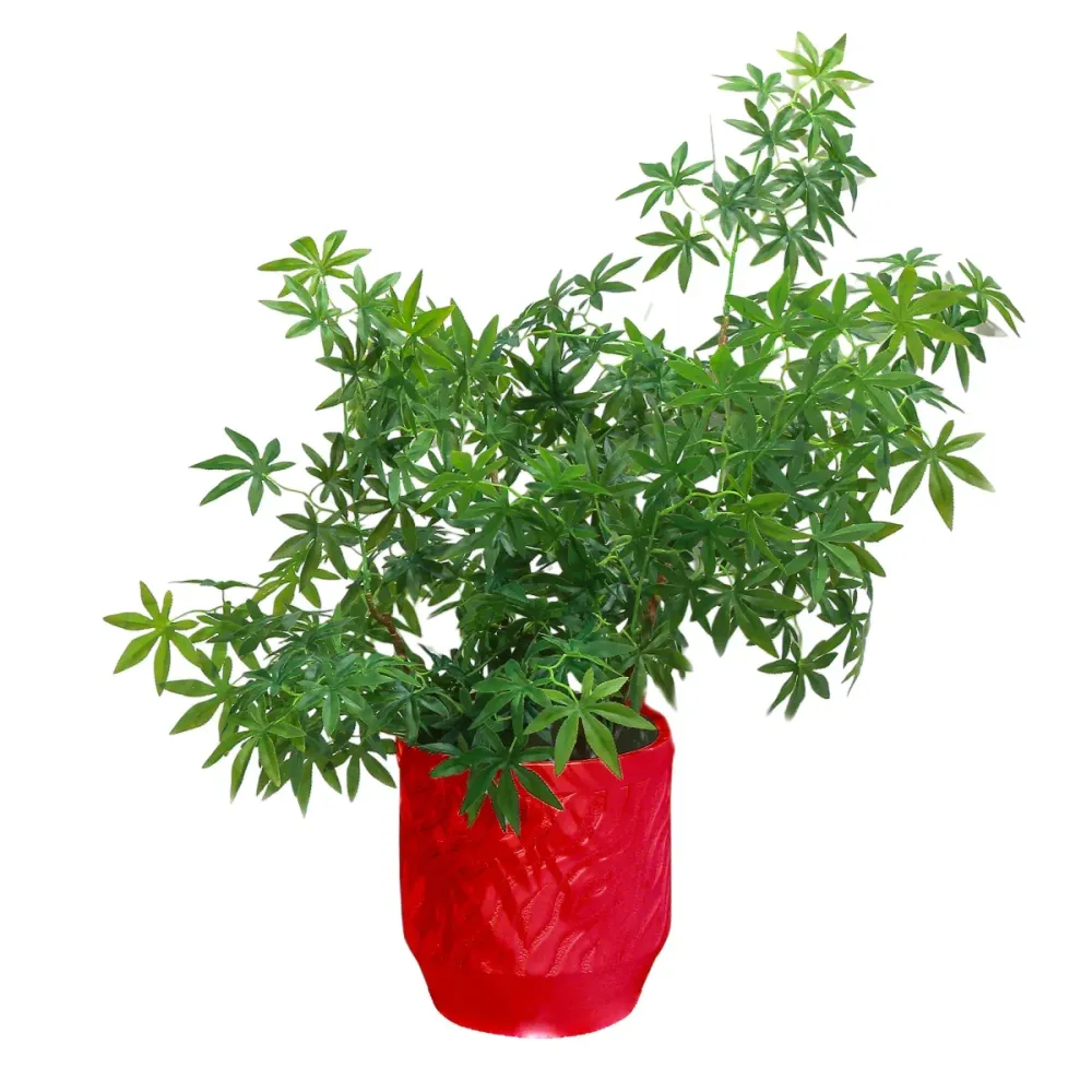 Ghiveci ecologic, Eco-friendly, Naimeed D6361, Mediu, din materiale minerale, Rosu, 34x32x32cm