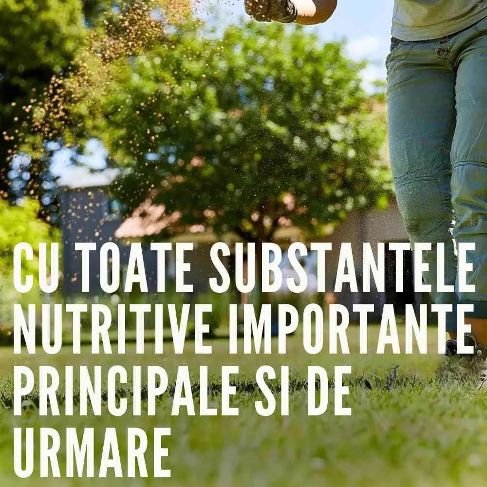 Ingrasamant gazon anti buruieni preventiv COMPO efect 6–8 saptamani, fertilizant organic-mineral, 200 mp, 10 kg
