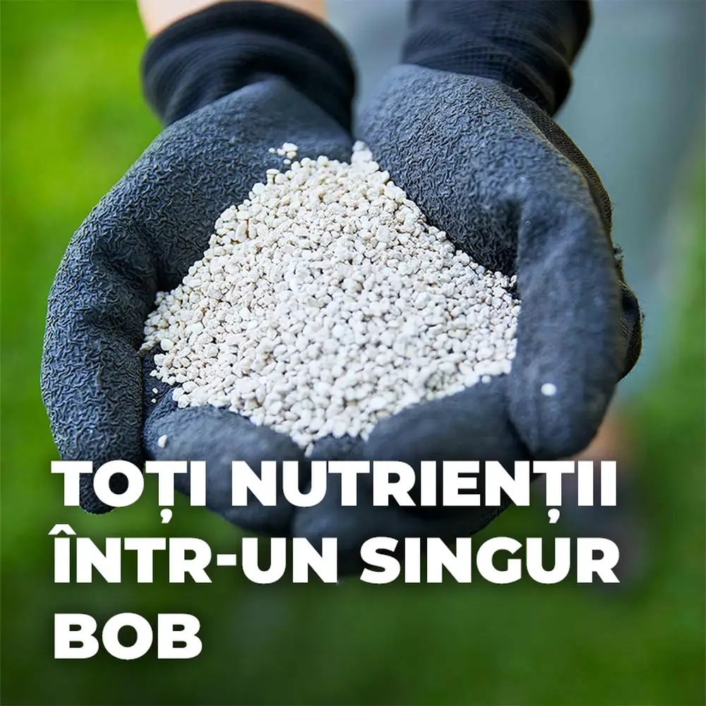 Ingrasamant gazon Compo, 8 kg pentru 320 mp, efect de 3 luni, granule fine