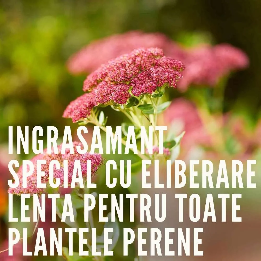 Ingrasamant granulat COMPO pentru plante perene si arbusti ornamentali, efect indelungat 6 luni, 2 kg
