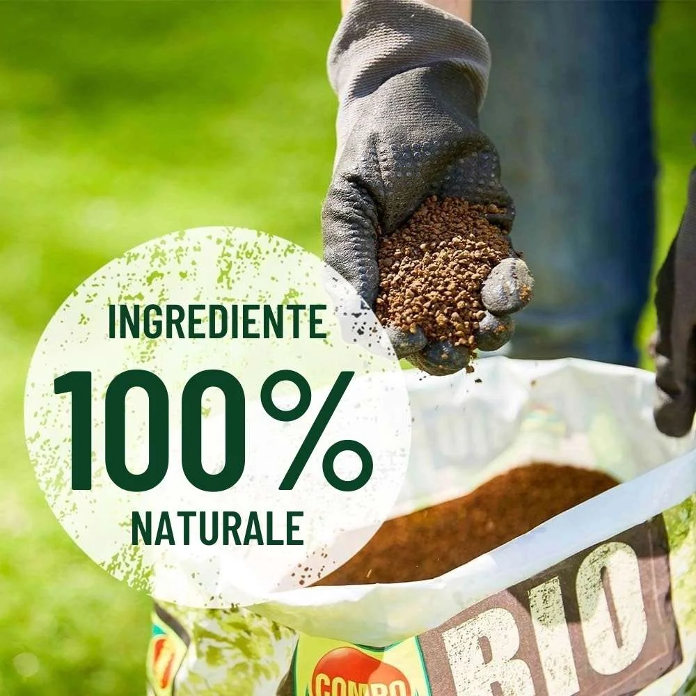 Ingrasamant Organic Granule Fine pentru Gazon, 3 kg pentru 75 mp, cu Efect Natural Instant si de Lunga Durata, COMPO