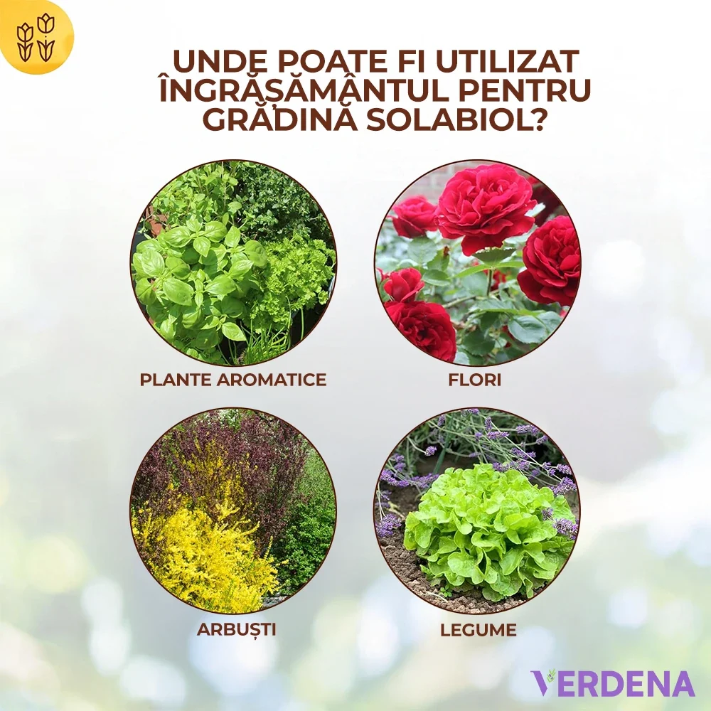 Ingrasamant Organic Universal pentru Gradina, 2.5 kg, cu Efect Imediat si de Lunga Durata pentru Fructe, Legume si Plante...