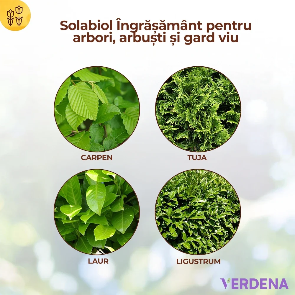 Ingrasamant pentru Arbori, Arbusti si Garduri Vii, 1.5 kg, cu Stimulator de Radacini si Efect Imediat si de Lunga Durata,...