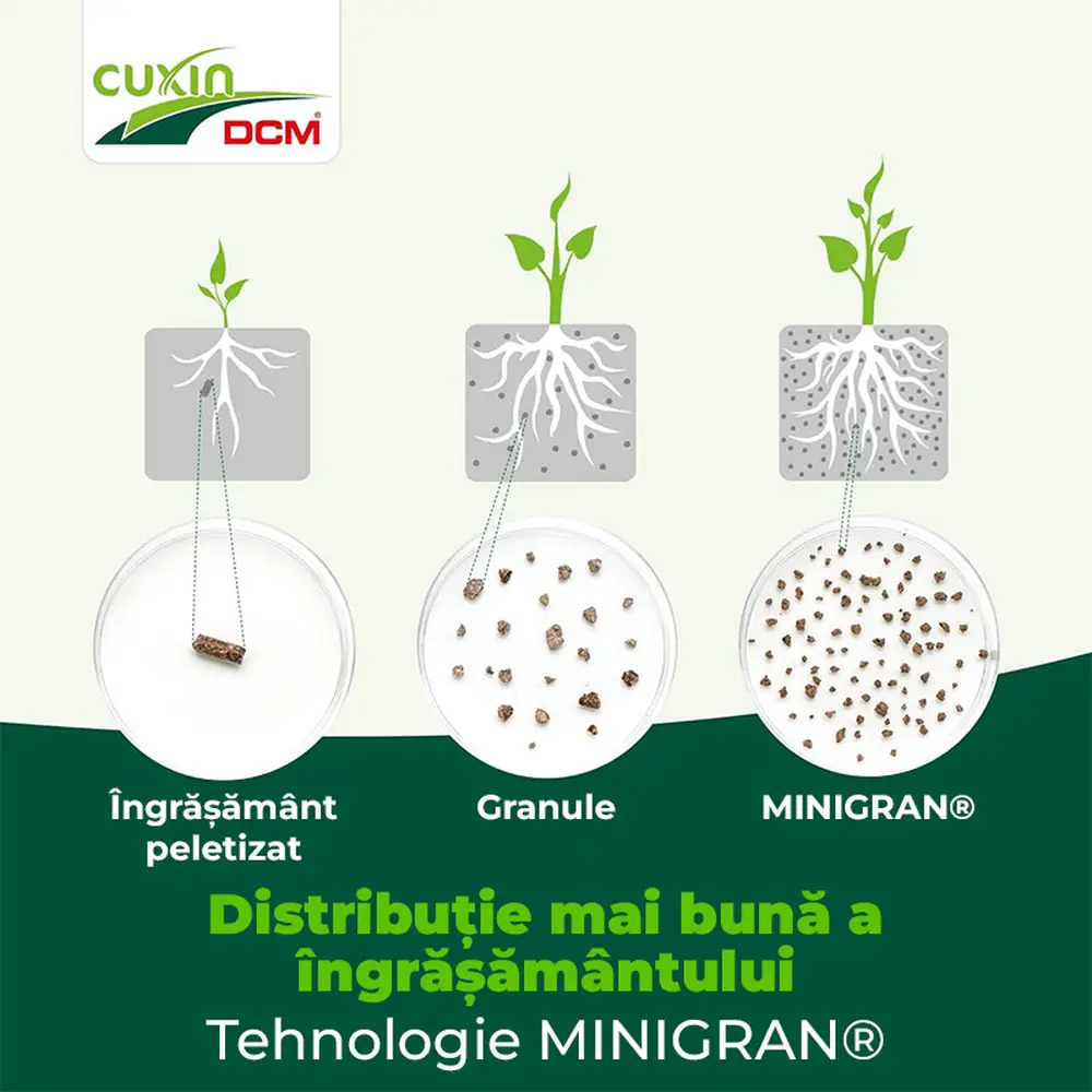 Ingrasamant Special pentru Laur Englezesc, 1.5 kg, Efect de Lunga Durata, CUXIN DCM