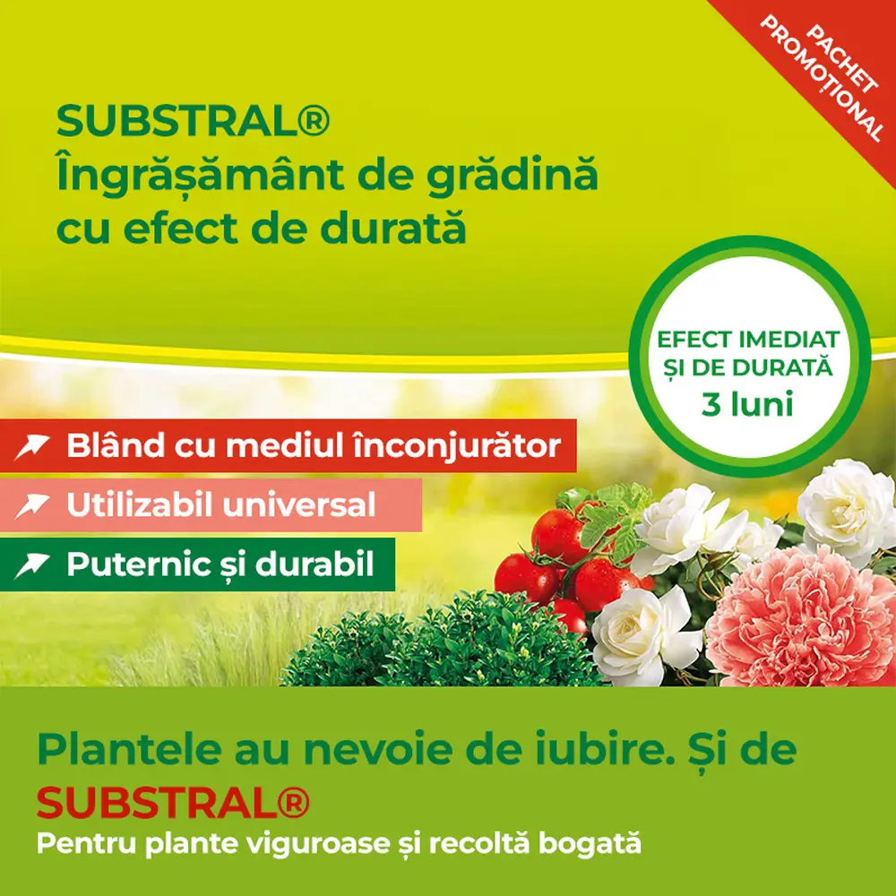 Ingrasamant universal Substral pentru gradina cu efect de lunga durata 2.5 kg pentru flori legume fructe arbusti conifere...