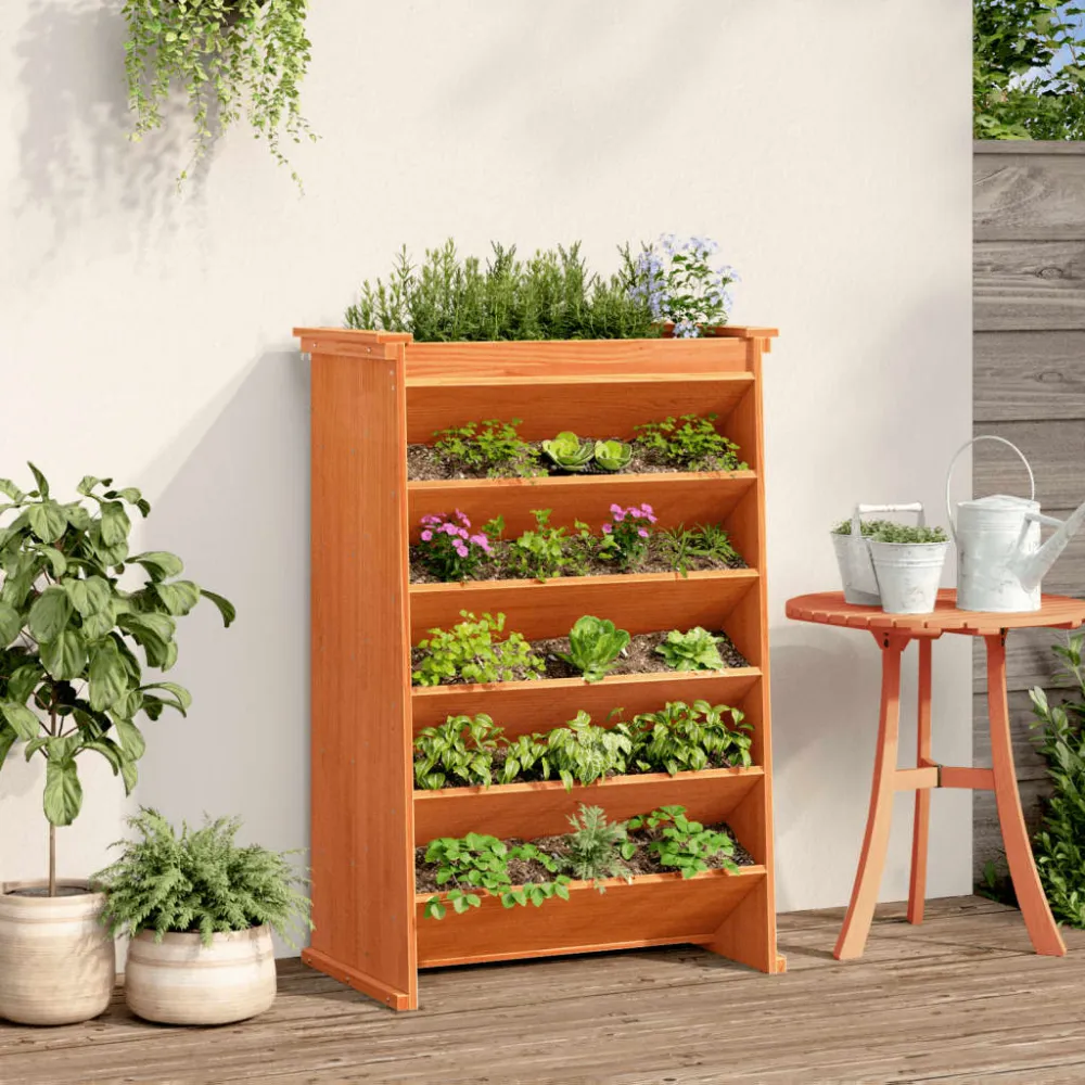 Jardinieră ierburi 6 niveluri maro 69x40x101,5cm lemn masiv pin
