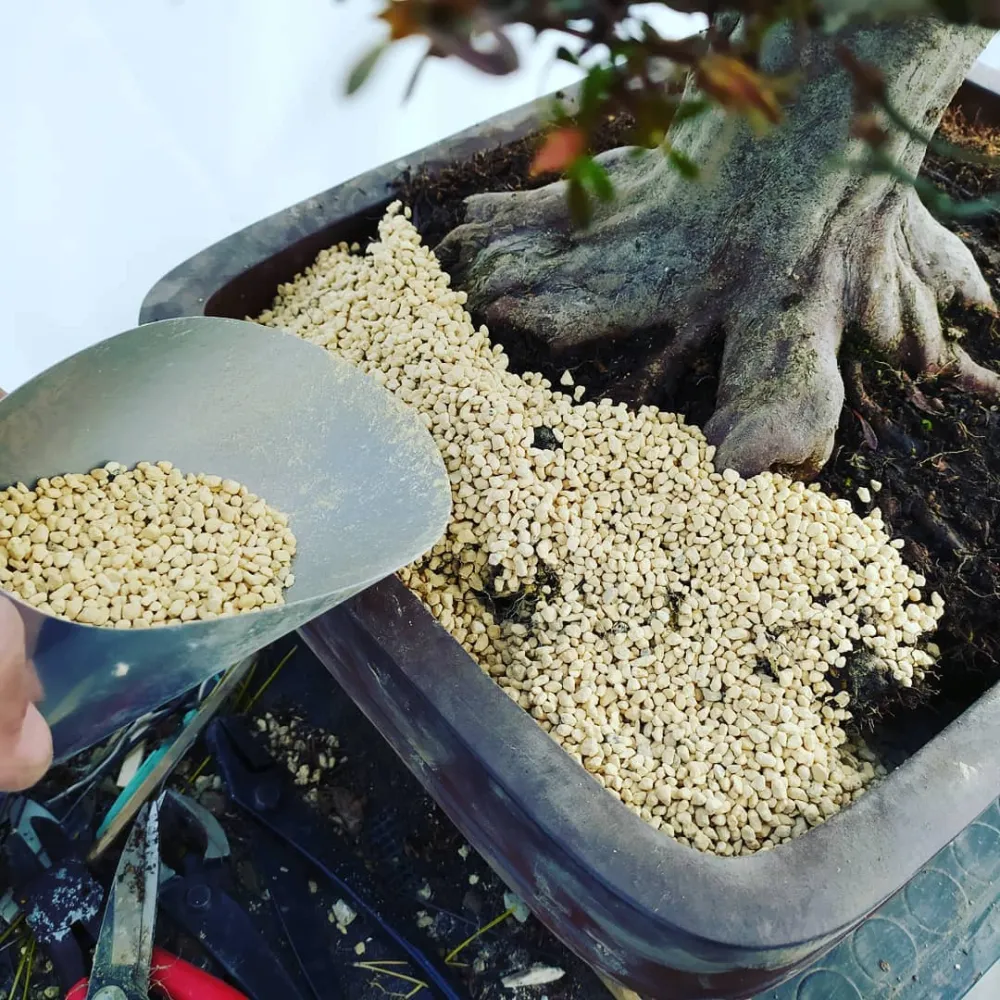 Kanuma 3-5 mm - substrat mineral japonez pentru bonsai si plante acidofile