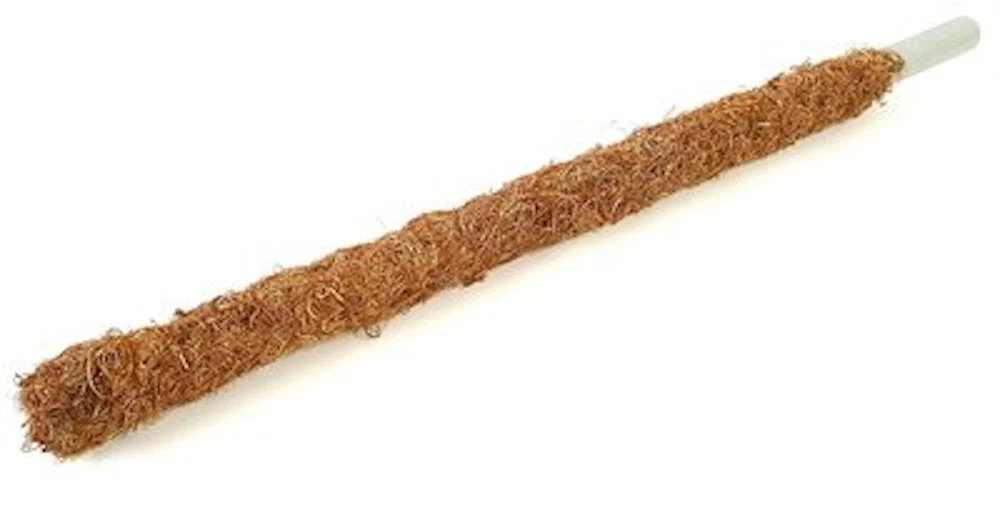 Mosstok - suport de plante imbracat cocos H95-100 cm
