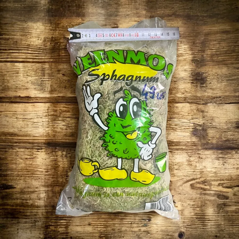 Muschi Sphagnum natural, ambalat (neprocesat)