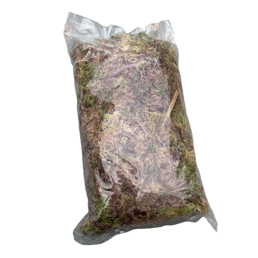 Muschi Sphagnum natural, ambalat (neprocesat)