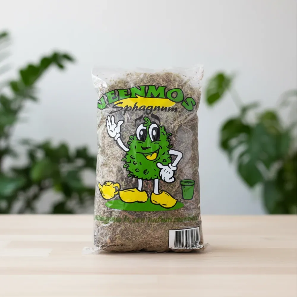 Muschi Sphagnum natural, ambalat (neprocesat)