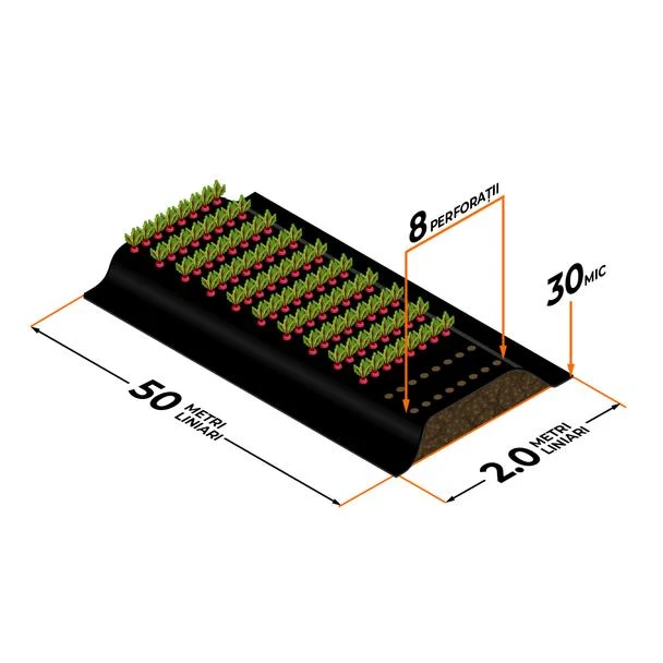Pachet Folie de mulcire perf. 30 mic 8p/25cm (2m x 50m) cu banda de picurare si conectica - pentru 100mp