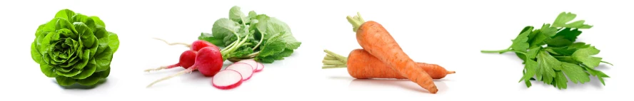 Pachet Folie de mulcire si sistem de irigație- pentru culturi mici (salata, morcovi, ridichi)- 400 mp