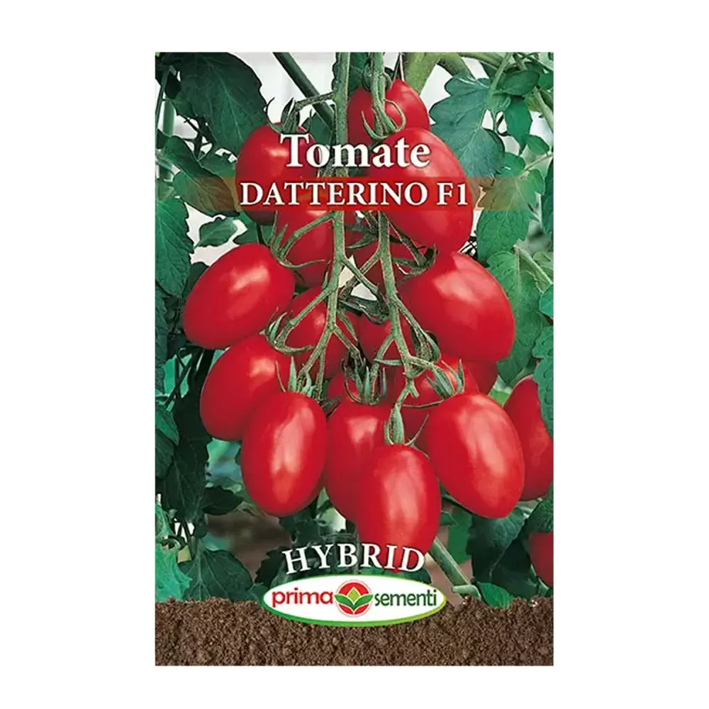 Seminte Tomate Datterino F1 0.3g